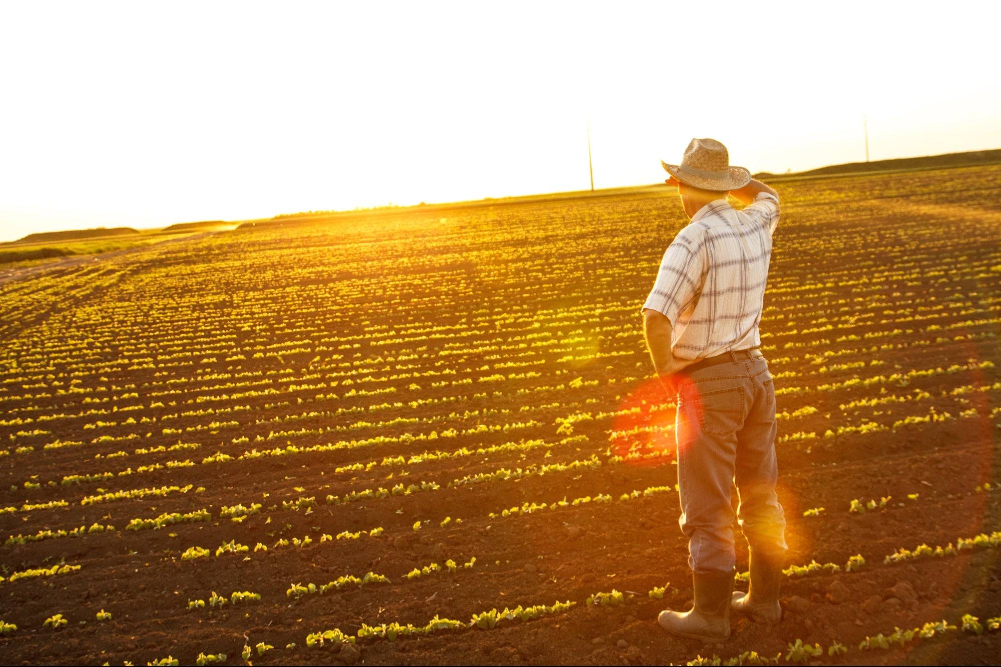 1649254535-shutterstock-277037879