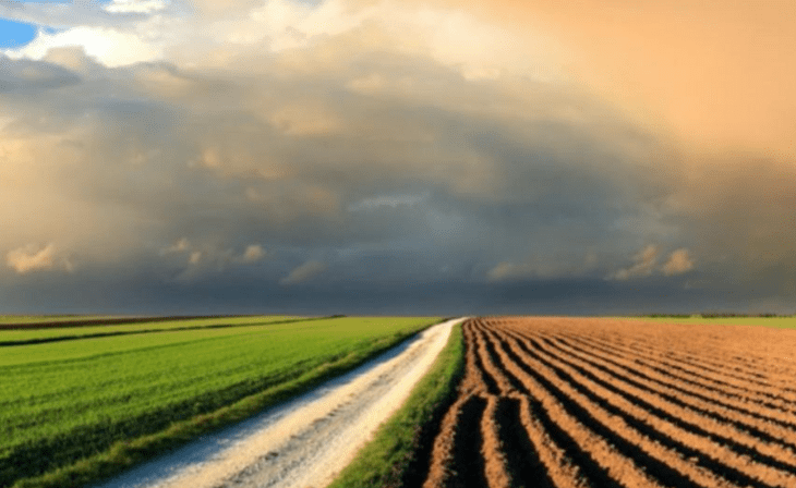 Langfos Phosphate vs Phosphorus