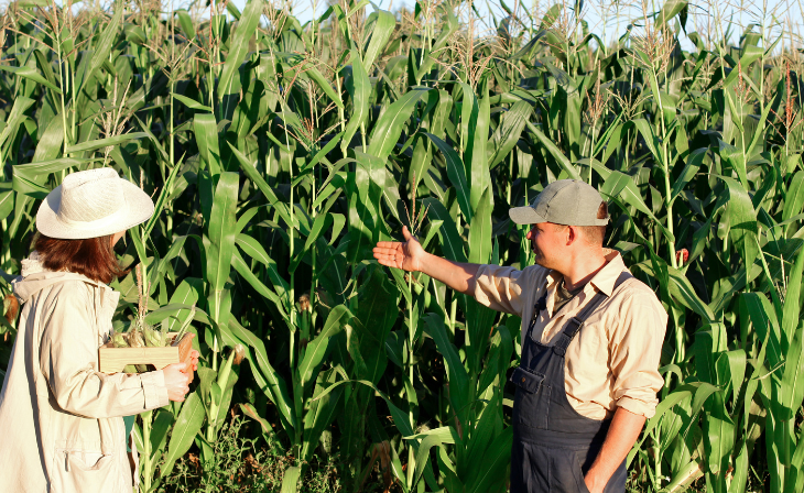 Langfos Benefits of Soft Rock Phosphate