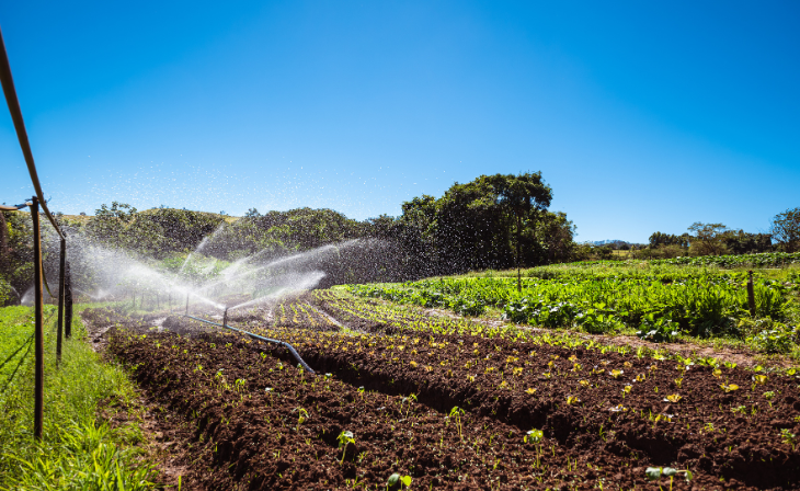 Langfos high phosphate organic fertilizer