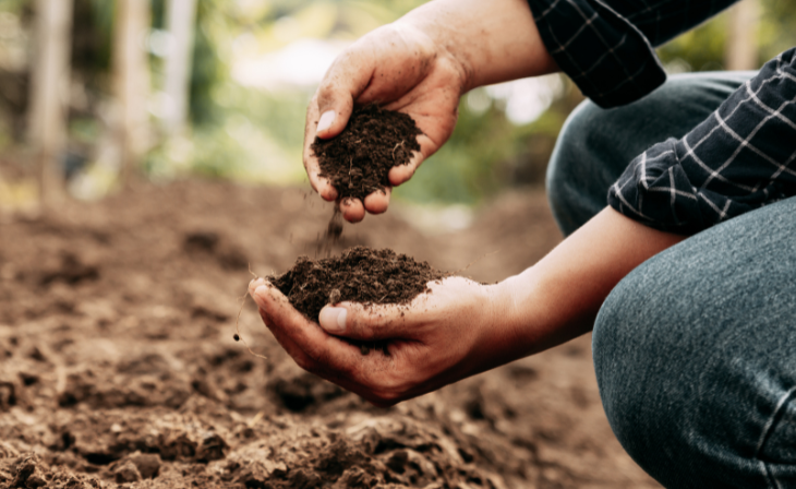 Langfos high phosphate organic fertilizer South Africa
