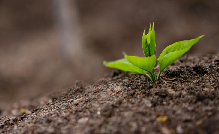 Langfos Phosphorus rich fertilizer