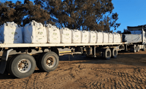 Langfos organic soft rock phosphate South Africa