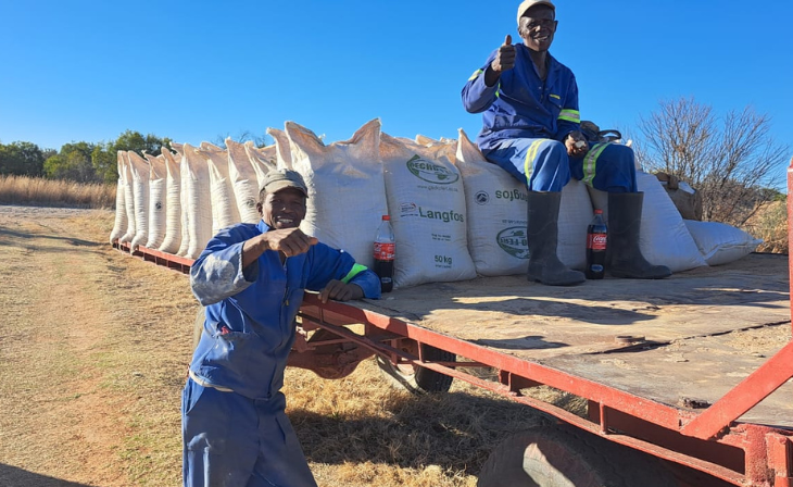 Benefits of Langfos Rock Phosphate for Soil & Crops